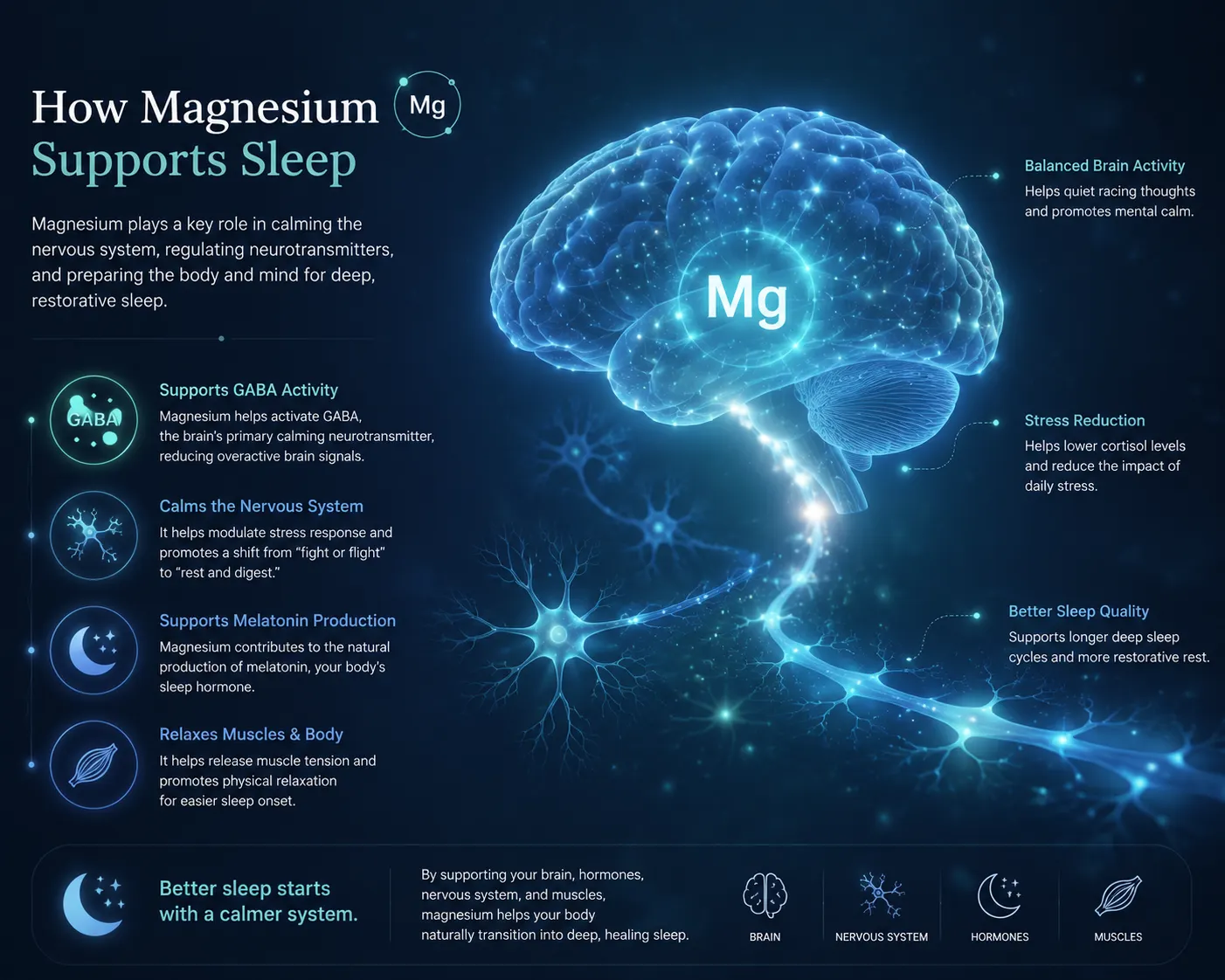 Conceptual diagram of magnesium aiding relaxation, calming neurons, and promoting sleep
